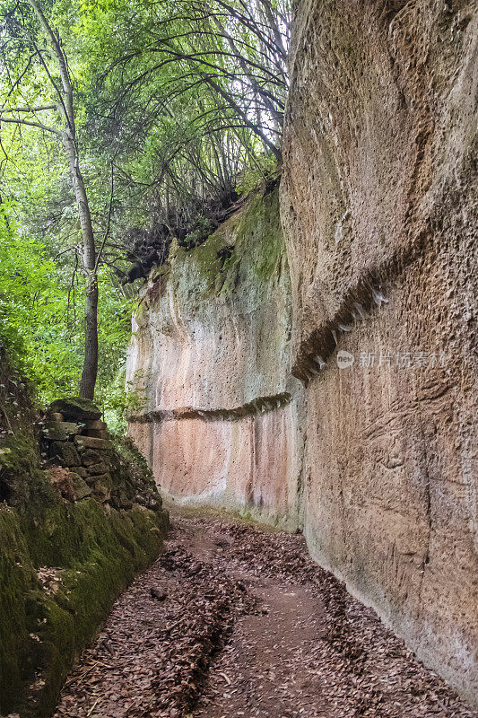 皮蒂利亚诺托斯卡纳的Vie Cave